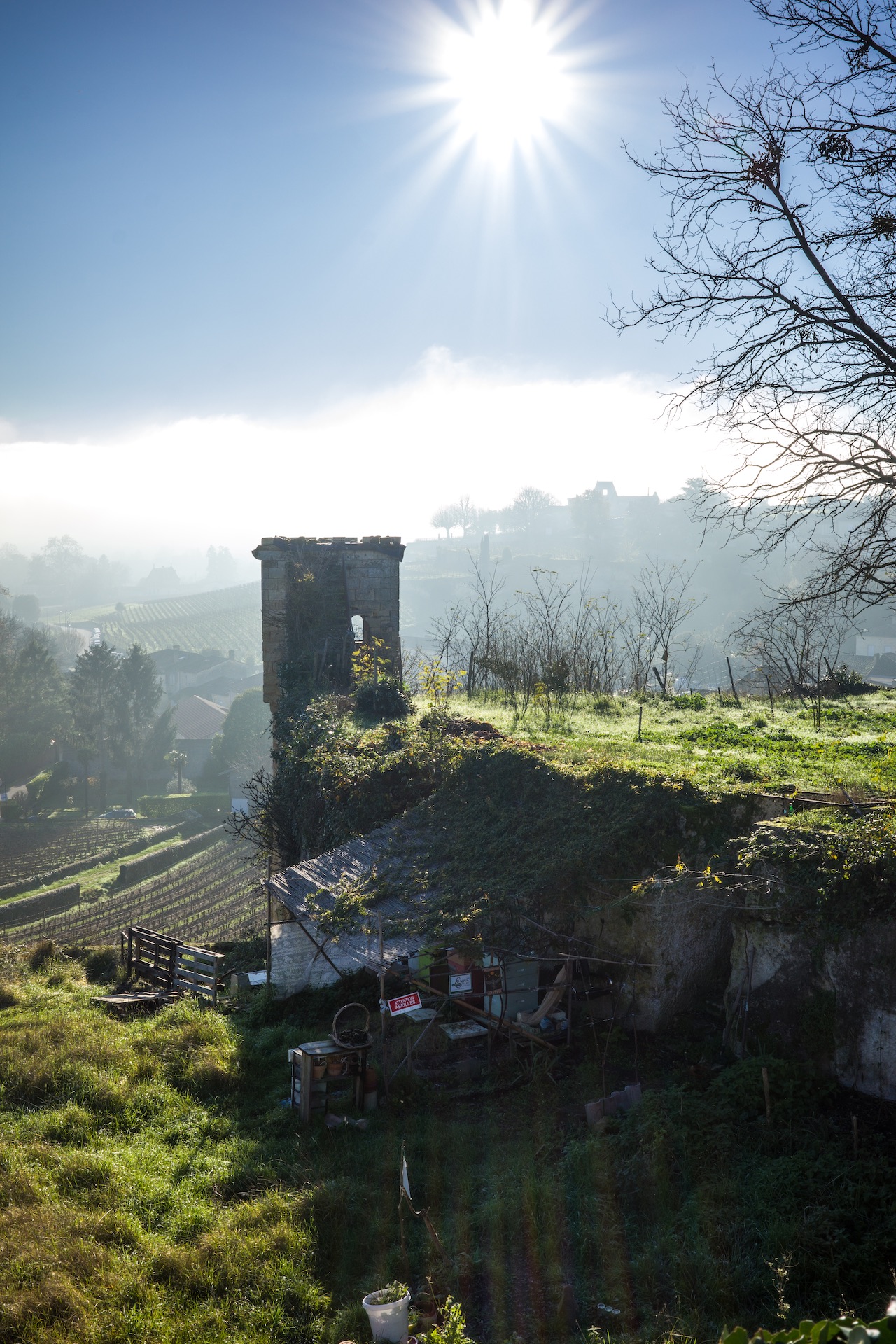 Saint-Emilion